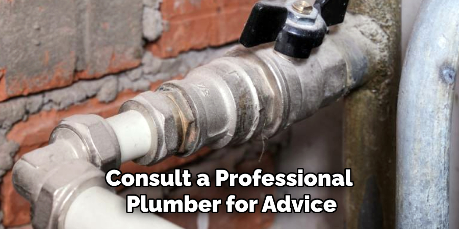 Consult a Professional
Plumber for Advice