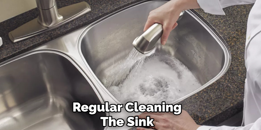 Regular Cleaning
The Sink