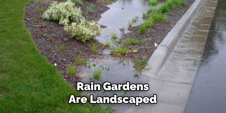 Rain Gardens
Are Landscaped