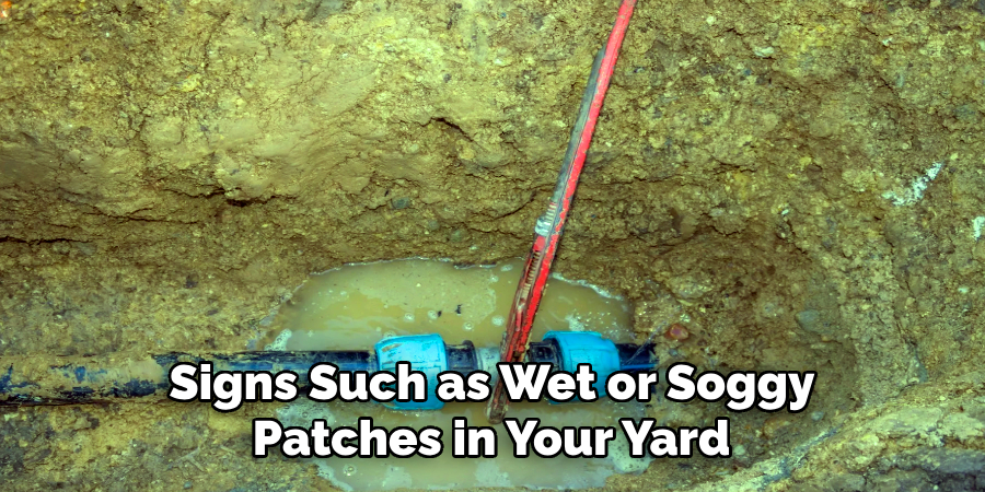 Signs Such as Wet or Soggy
Patches in Your Yard