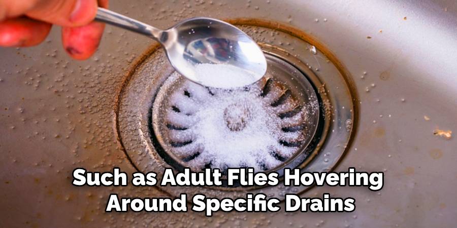 Such as Adult Flies Hovering 
Around Specific Drains