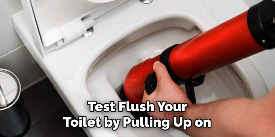 Test Flush Your 
Toilet by Pulling Up on 