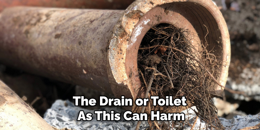 The Drain or Toilet 
As This Can Harm