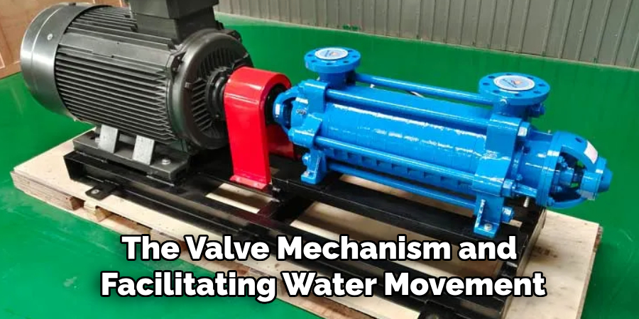 The Valve Mechanism and 
Facilitating Water Movement