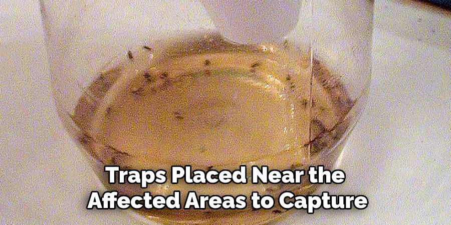 Traps Placed Near the 
Affected Areas to Capture