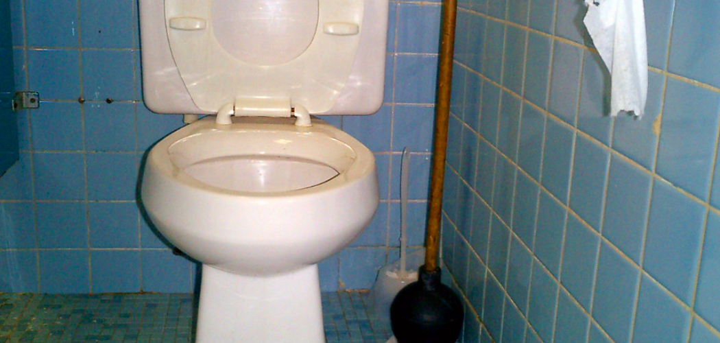 How to Hide Plunger and Toilet Brush