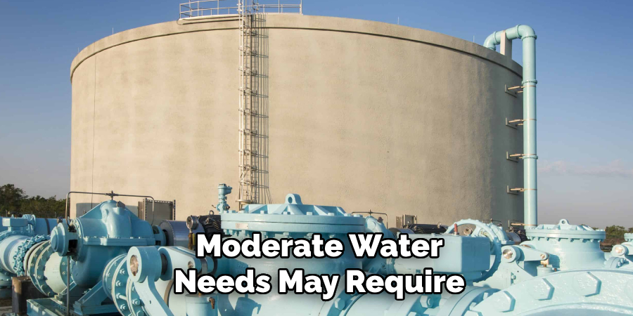 Moderate Water Needs May Require