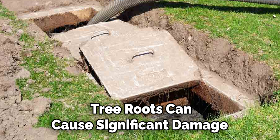 Tree Roots Can
Cause Significant Damage 