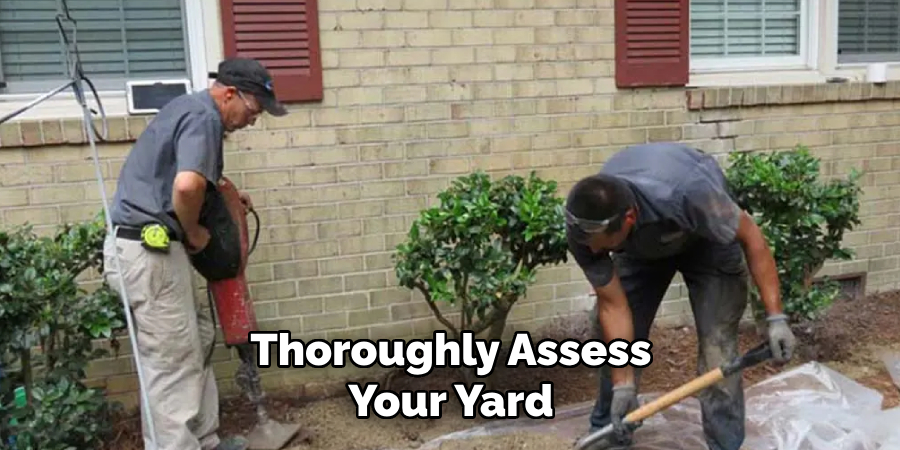 Thoroughly Assess
Your Yard